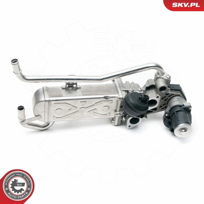 AGR - Ventil ESEN SKV 14SKV096
