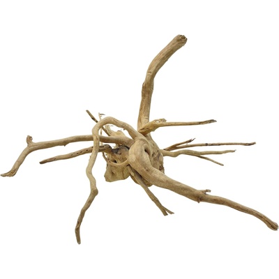 Invital Red moor wood KG 1265 g Z00510