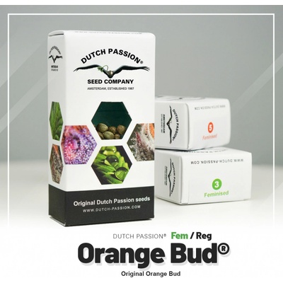 Dutch Passion Orange Bud semienka neobsahujú THC 5 ks