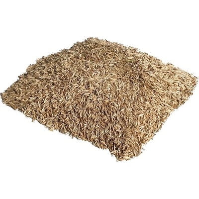 IQ Garden Travní směs Sport hobby Exclusive - 20 kg 326277 – Hledejceny.cz