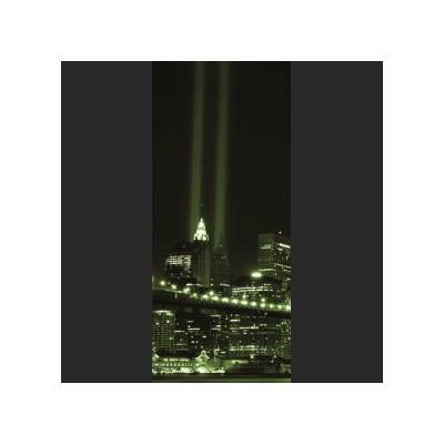 Preinterier Fototapeta - DV0114 - Zelený New York Samolep. fólia - 91cm x 211cm