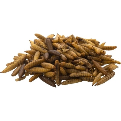 UGF Bráněnka sušené larvy 250 g