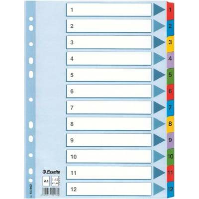 Zosilnené kartónové registre Esselte Mylar, A4, Mix farieb