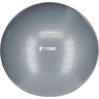 Fitforce GYM ANTI BURST 100