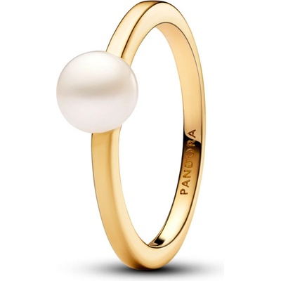 Pandora 163157C01