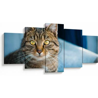 Obraz - Mačka domáca (s hodinami), päťdielne 150x80 cm s hodinami