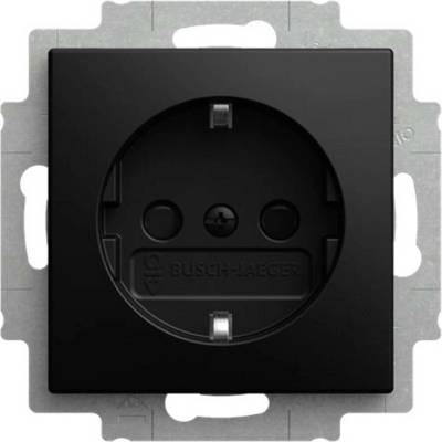 Busch-Jaeger 2CKA002013A5542
