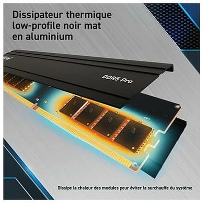 Crucial Pro DDR5 24GB 5600MHz CL46 (1x24GB) CP24G56C46U5