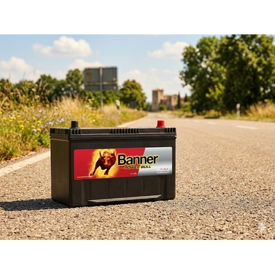 Banner Power Bull 12V 95Ah 740A P95 04