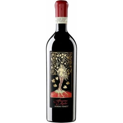 Domini Veneti Amarone della Valpolicella Classico Mater 2017 17% 0,75 l (holá láhev)