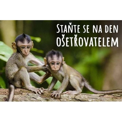Staň se ošetřovatelem v ZOO Tábor