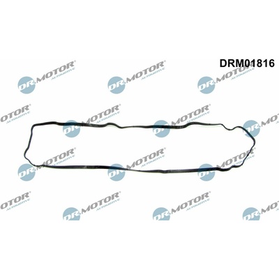 DR.MOTOR AUTOMOTIVE Tesnenie veka hlavy valcov DRM01816