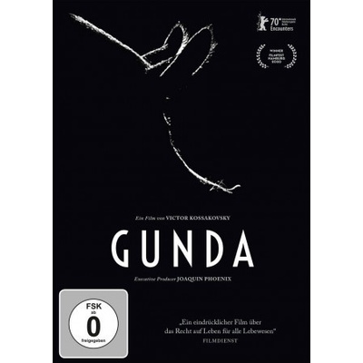 Video Gunda