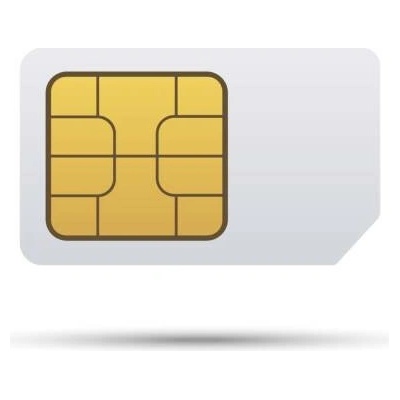 Datová SIM karta s licencí na software / měsíčně