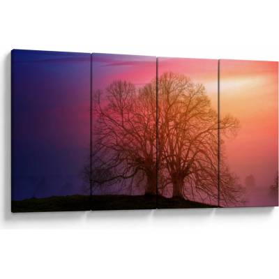 Obraz stromov v hmle, štvordielne 160x80 cm