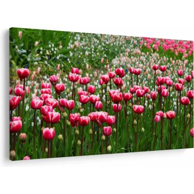 Obraz tulipánov, jednodielne 120x80 cm