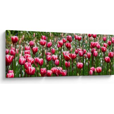 Obraz tulipánov (s hodinami), trojdielne 90x30 cm s hodinami