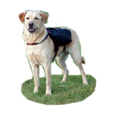 Trixie Ruksak na záda pro psa L-XL černý 31 x 17 cm – Hledejceny.cz