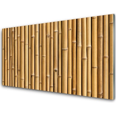 akrylový obraz Bambus Rostlina Příroda 100x50 cm – Hledejceny.cz