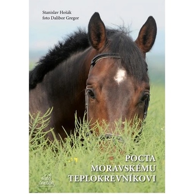 Pocta moravskému teplokrevníkovi – Hledejceny.cz