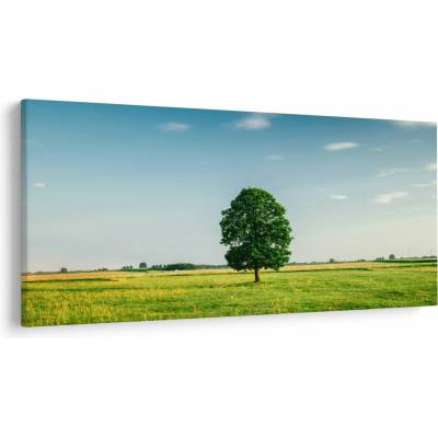 Obraz stromu uprostred lúky, jednodielne 200x100 cm