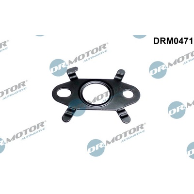 DR.MOTOR AUTOMOTIVE Tesnenie výpustnej skrutky oleja DRM0471