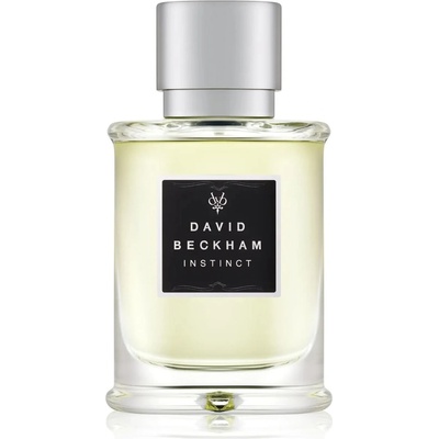 David Beckham Instinct toaletní voda pánská 75 ml