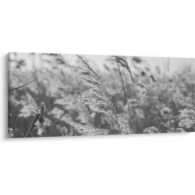 Obraz - Tráva ve větru, jednodílný 120x50 cm
