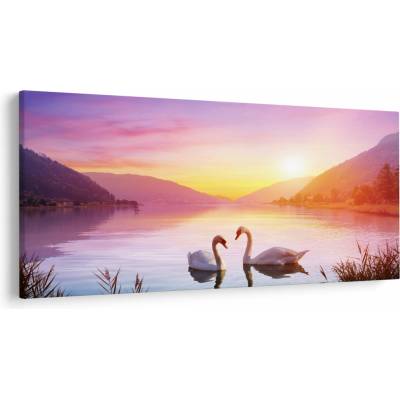Obraz zamilovaných labutí, jednodielne 200x100 cm