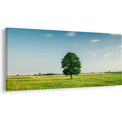 Obraz stromu na lúke, jednodielne 250x125 cm