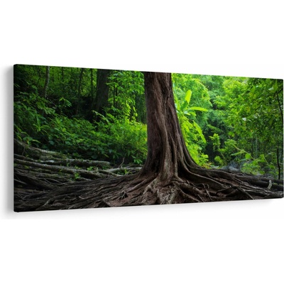 Obraz - Starý strom s koreňmi, jednodielne 200x100 cm
