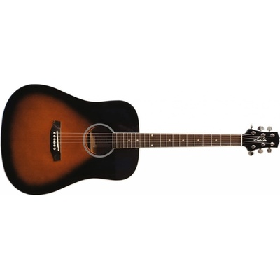 Ashton D20SW