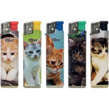 SPARX P1850 Kittens