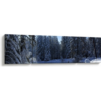 Obraz zasněženého lesa, třídílný 170x50 cm