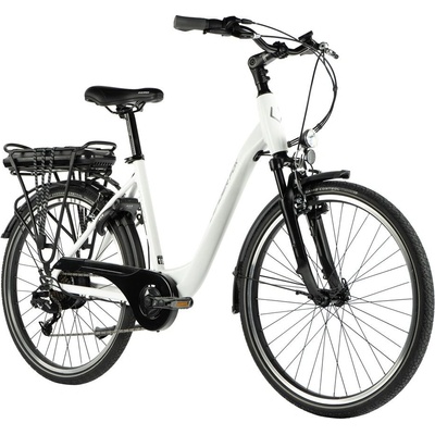 Leader Fox Latona 2 2024