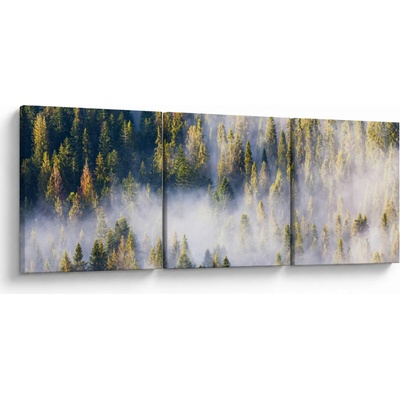Obraz stromov v hmle, trojdielne 90x30 cm