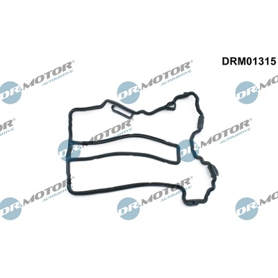 DR.MOTOR AUTOMOTIVE Tesnenie veka hlavy valcov DRM01315