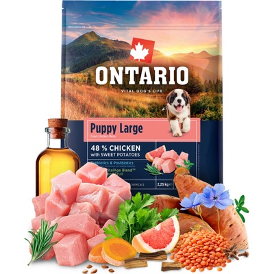 Ontario Puppy Large Chicken & Sweet Potatoes 2,25 kg