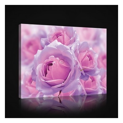 Obraz na plátne obdĺžník - OB1024 - Ruže 100cm x 75cm - O1