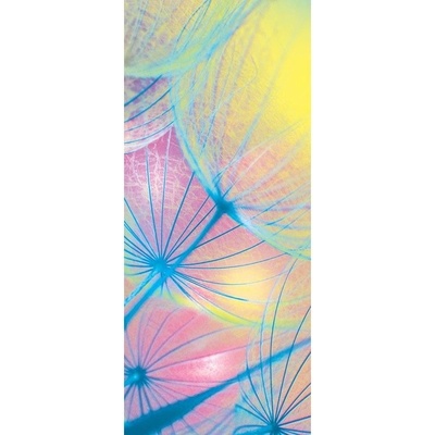 Preinterier DV0218 Fototapeta na stenu Farebná púpava vlies 91cm x 211cm