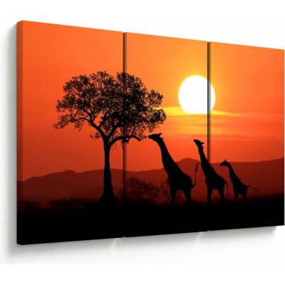 Obraz žirafy pri západe slnka, trojdielne 120x80 cm