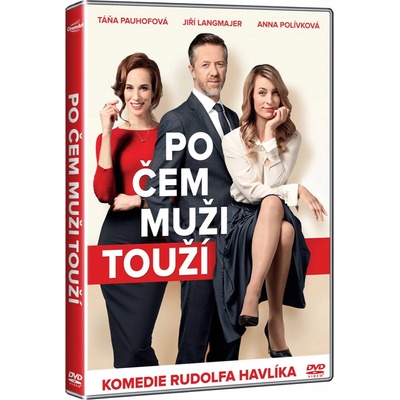 Po čem muži touží DVD