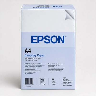 Epson C13S450506
