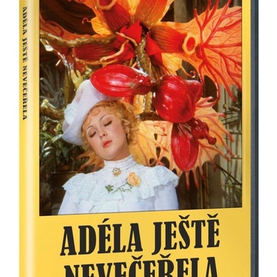 Adéla ještě nevečeřela DVD