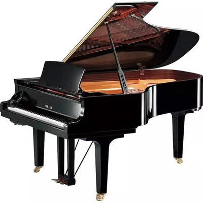 Yamaha C6X SH3 PE