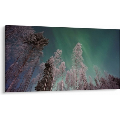 Obraz polárna žiara nad zamrznutými stromami, jednodielne 120x70 cm