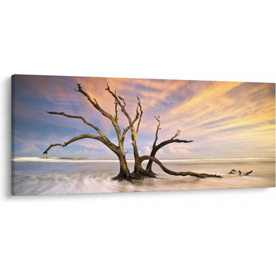 Obraz stromu v oceánu, jednodílný 120x50 cm