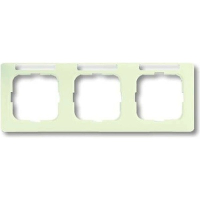 Busch-Jaeger 2CKA001754A4097