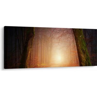 Obraz podzimního lesa v mlze, jednodílný 120x50 cm