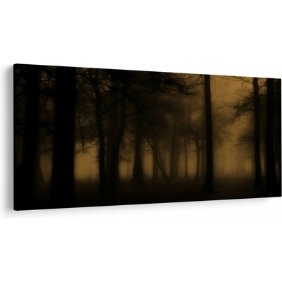 Obraz - Temný les, jednodielne 250x125 cm